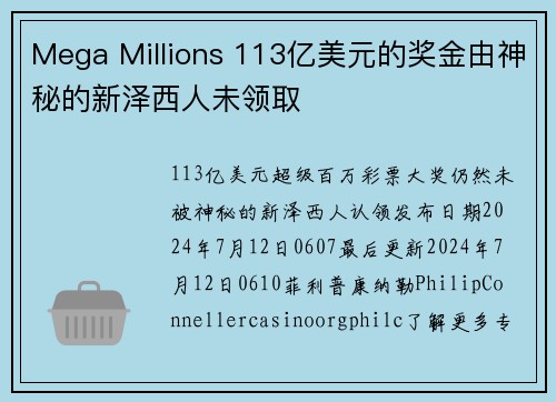 Mega Millions 113亿美元的奖金由神秘的新泽西人未领取