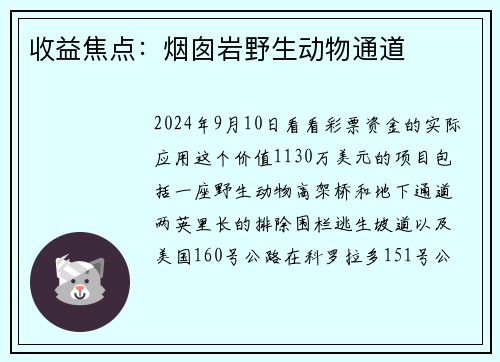 收益焦点：烟囱岩野生动物通道