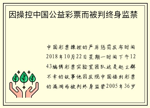因操控中国公益彩票而被判终身监禁